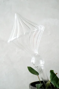 PLANT Selvvandingsglas, 4 stk New
