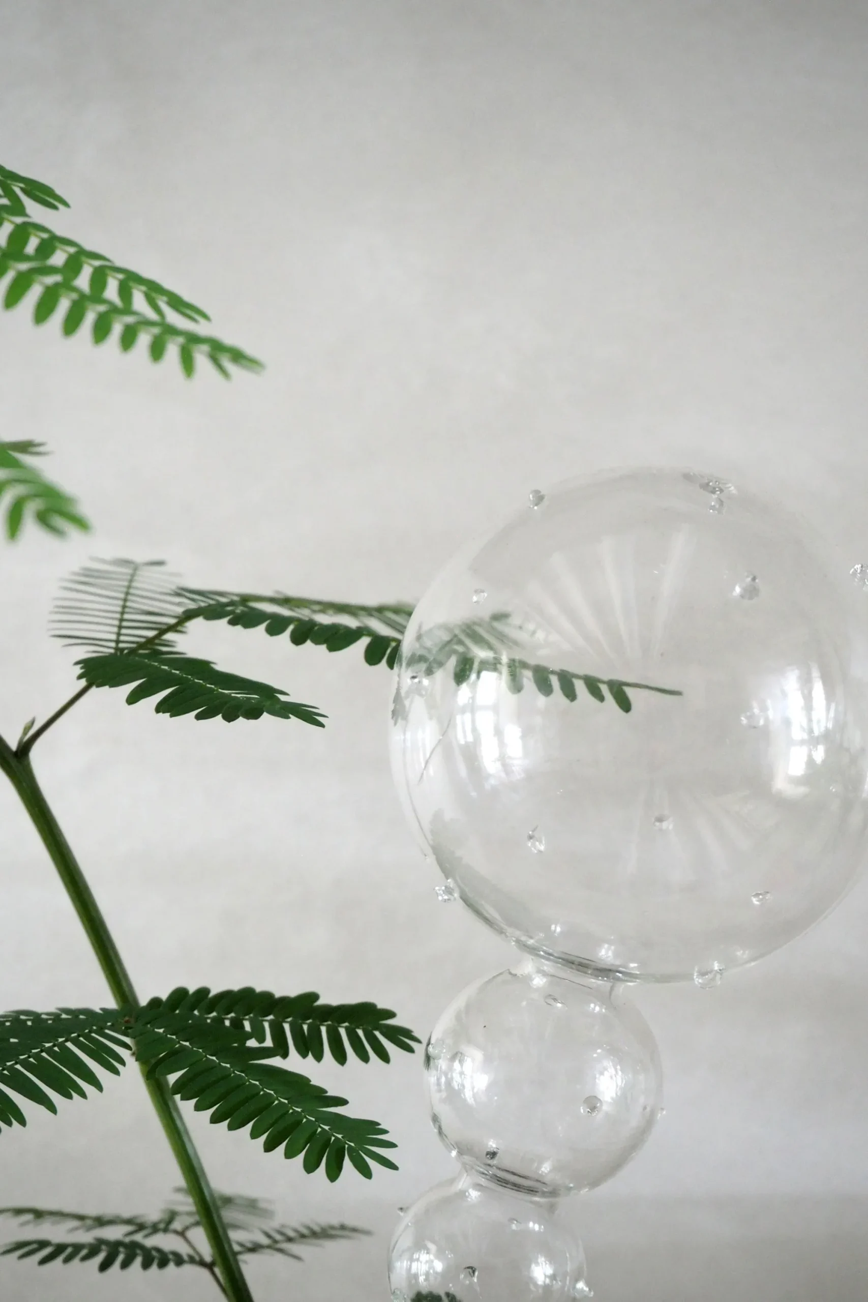 PLANT Selvvandingsglas, double dot Best