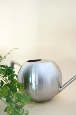 PLANT Stainless steel, rund vandkande Hot