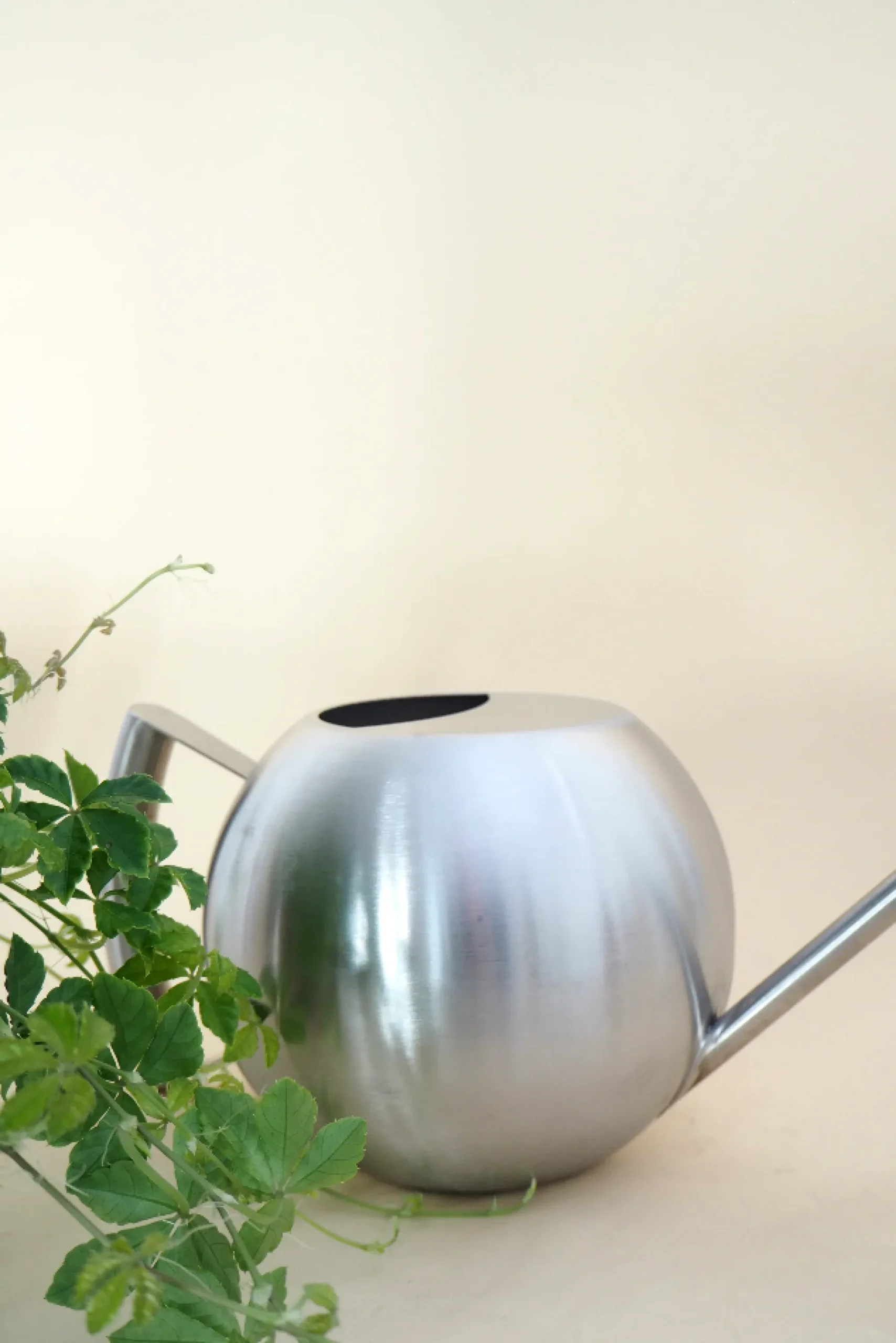 PLANT Stainless steel, rund vandkande Hot