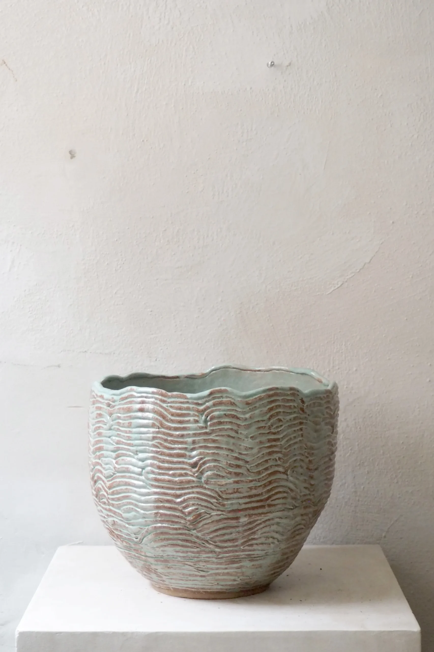 PLANT StineMei - Wood blue Best