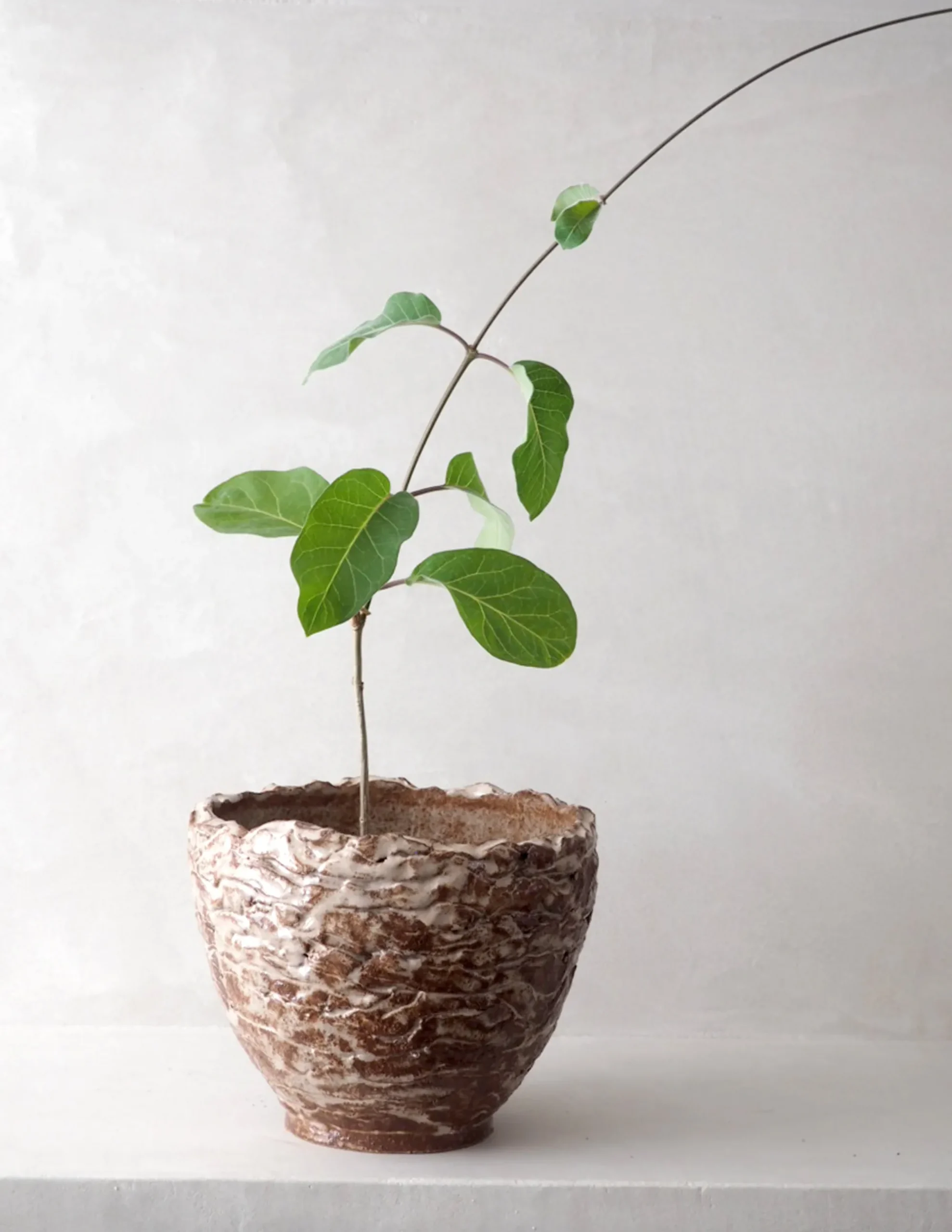 PLANT StineMei krukke - red Discount