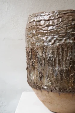 PLANT StineMei Wood Bark New
