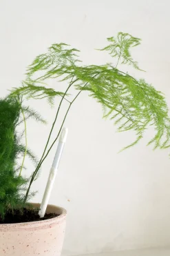 PLANT SUSTEE vand'o'meter Sale