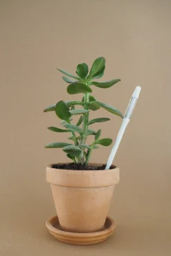 PLANT SUSTEE vand'o'meter Sale