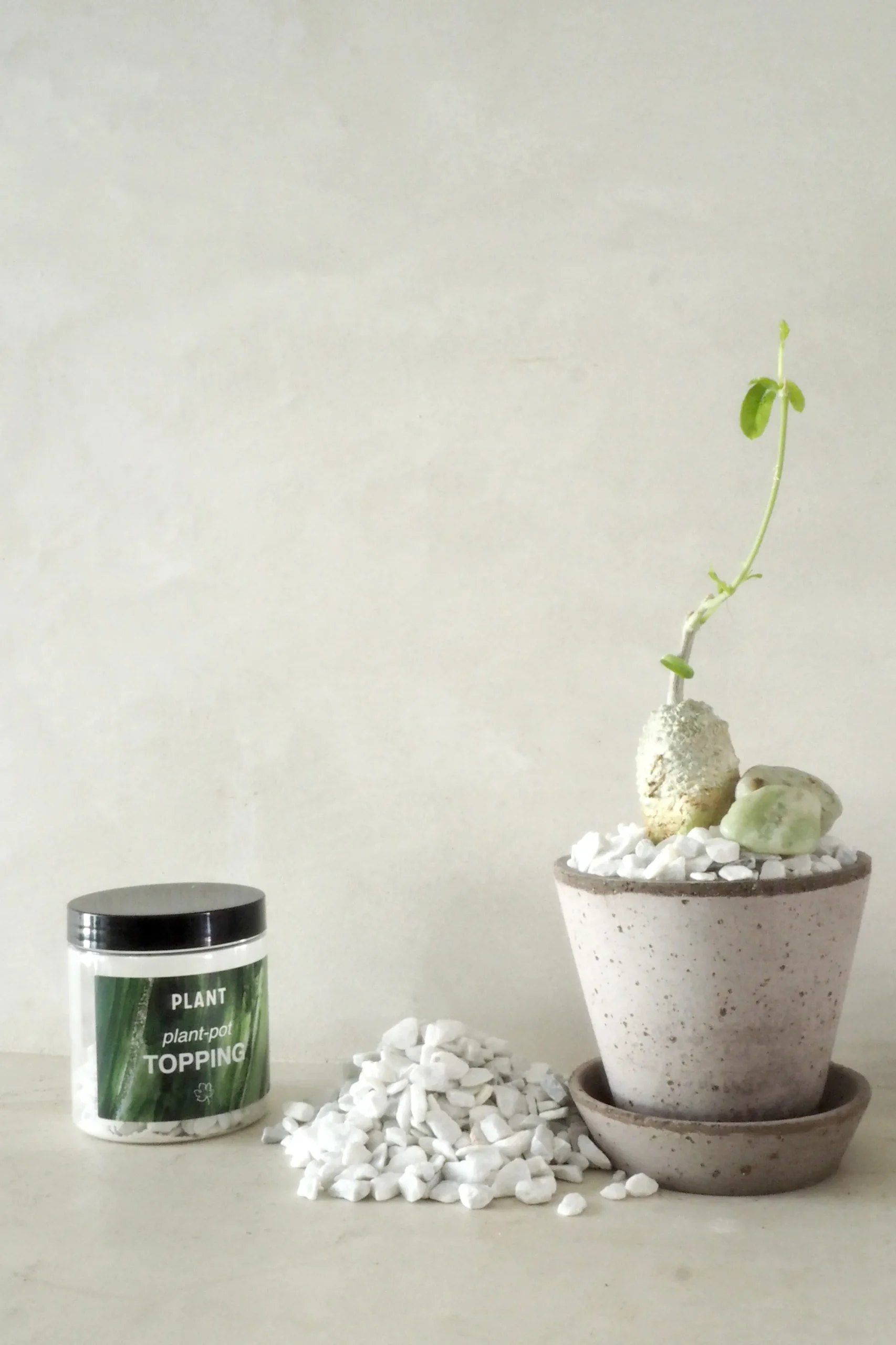 PLANT Topping sten - Hvid Outlet