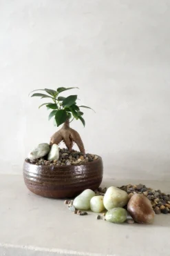 PLANT Topping sten - Natural Hot