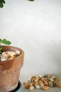 PLANT Topping sten - Peach Discount