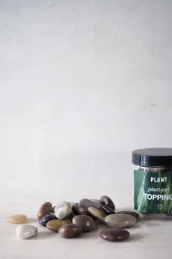 PLANT Topping sten - Poleret Outlet