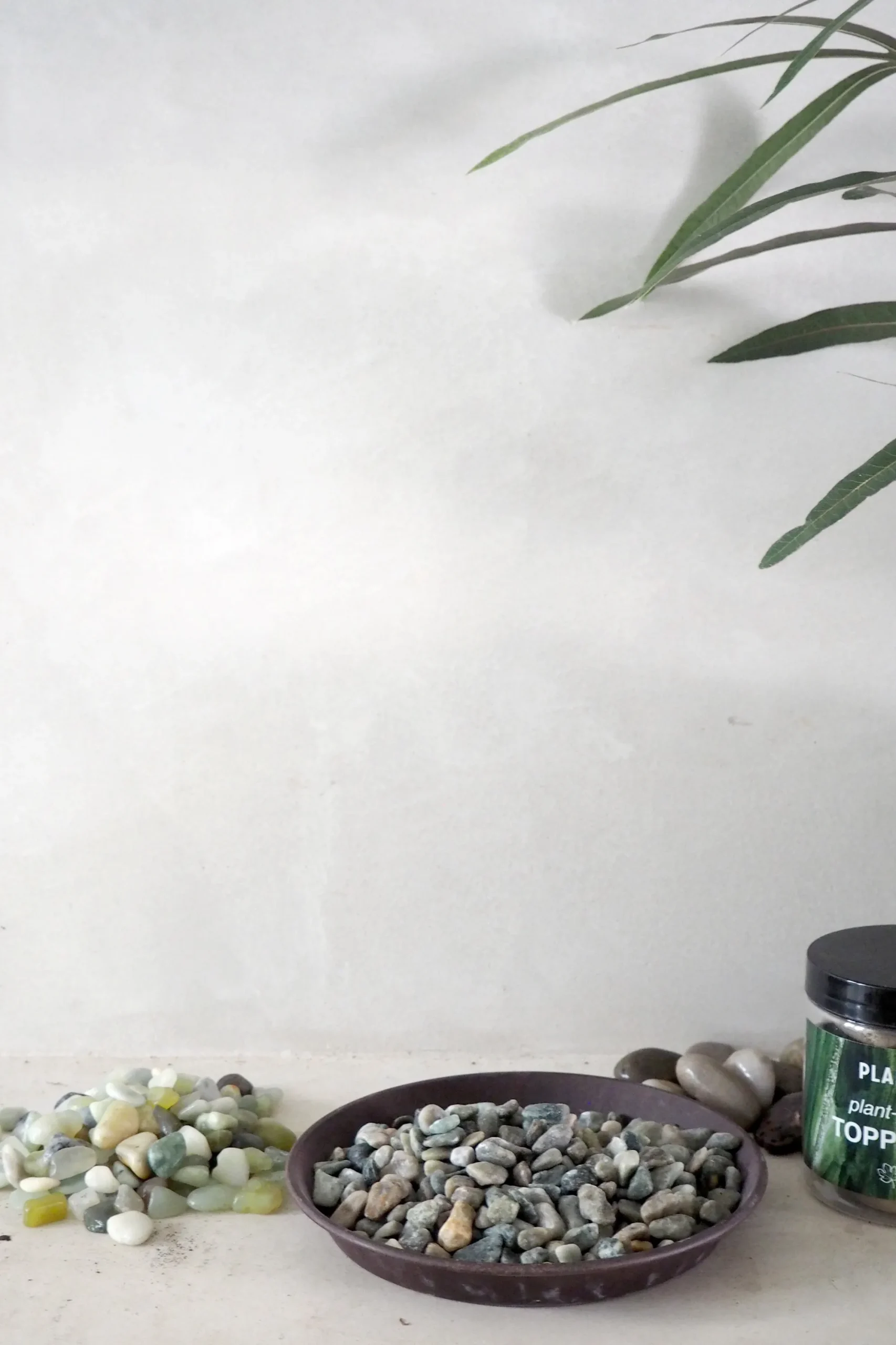 PLANT Topping sten - Poleret Outlet