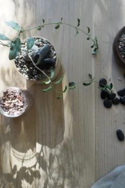 PLANT Topping sten - Rosa
