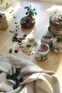 PLANT Topping sten - Sort Sale