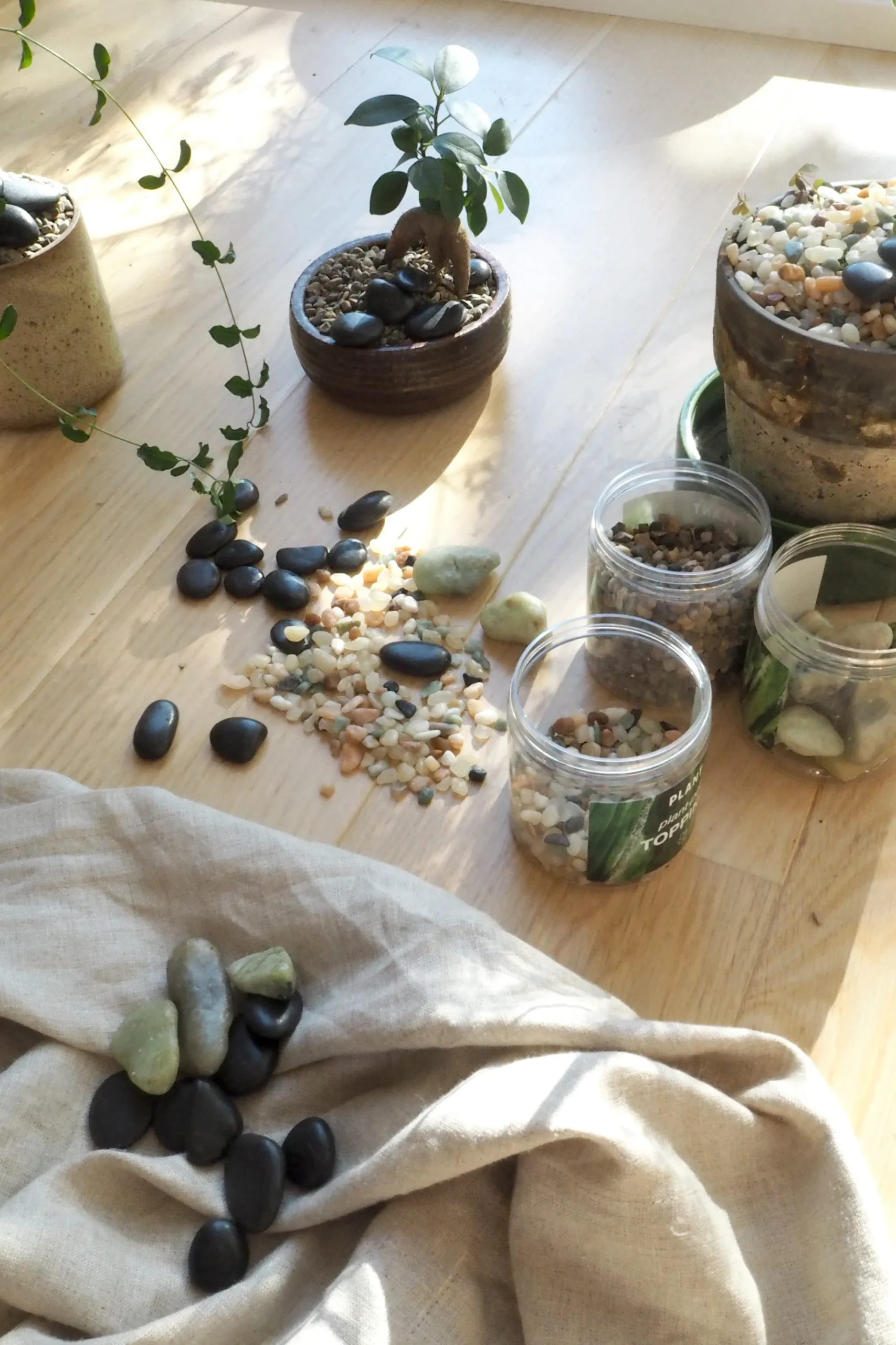 PLANT Topping sten - Stor sort Outlet
