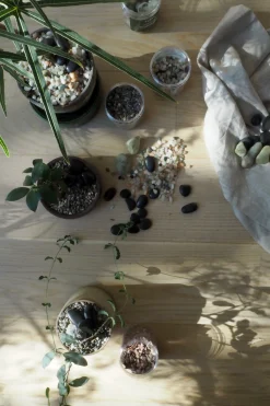 PLANT Topping sten - Stor sort Outlet