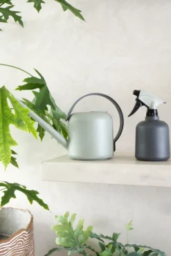 PLANT Vandkande, lysegrøn Online