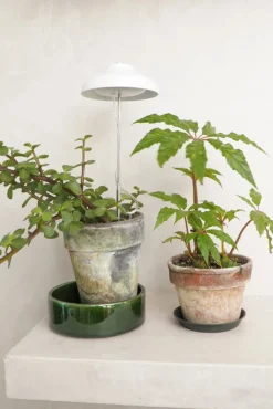 PLANT Vækstlampe, LED Discount