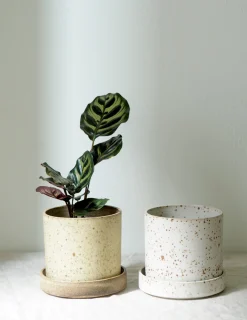 PLANT V.O krukke - hvid, small Outlet