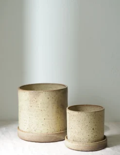 PLANT V.O krukke - sand, large New